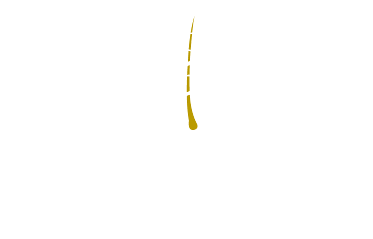 Logo Clinica Biodermo